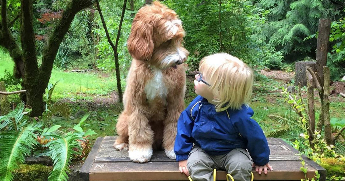 Teach Your Dog How to Interact with Children