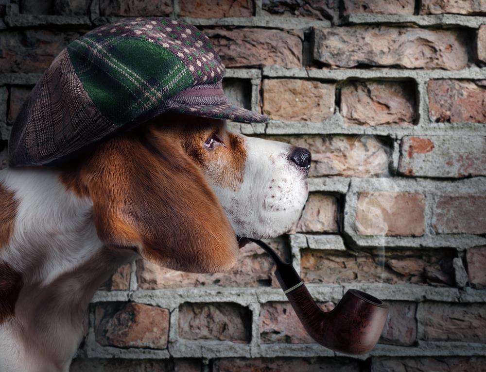Teach Your Dog How to Recreate a Crime Scene
